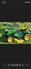 John Deere 2013 D170 Riding Lawn Mowers