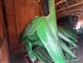 John Deere 2006 693 Headers - Corn