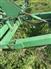 John Deere 1998 980 Field Cultivators