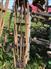 John Deere 1998 980 Field Cultivators