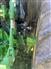 John Deere 2020 6155M Other Tractors