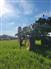John Deere 2016 R4045 Sprayers - Self Propelled