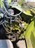 Claas 2017 960 Forage Harvesters
