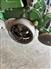 John Deere 2024 1795 Planters