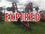 2013 Wil-Rich 60' Cultivator