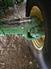 John Deere 2021 S770 Combines