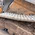 John Deere 2022 325G Track Loaders