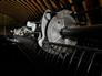 MacDon Industries 2023 FD240 Headers - Other