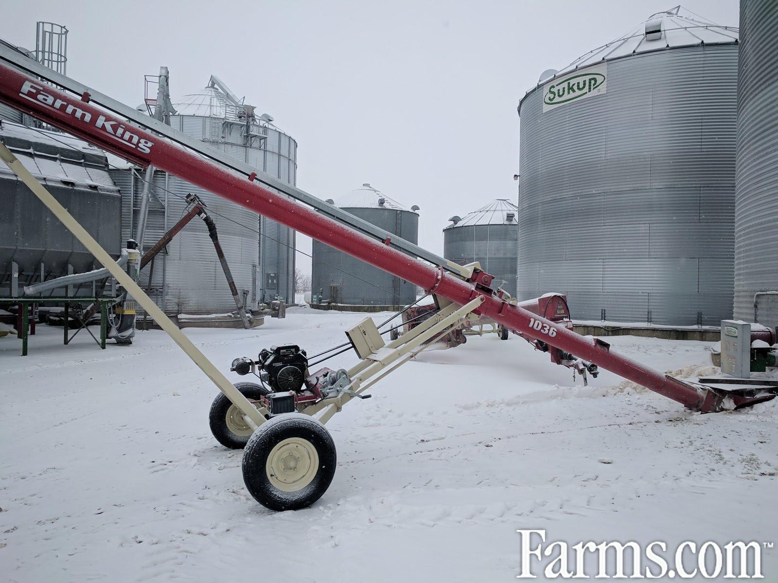 Buhler Farm King 10x36 Augers / Elevators / Conveyors for Sale