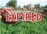Hesston 1150 mower conditioner