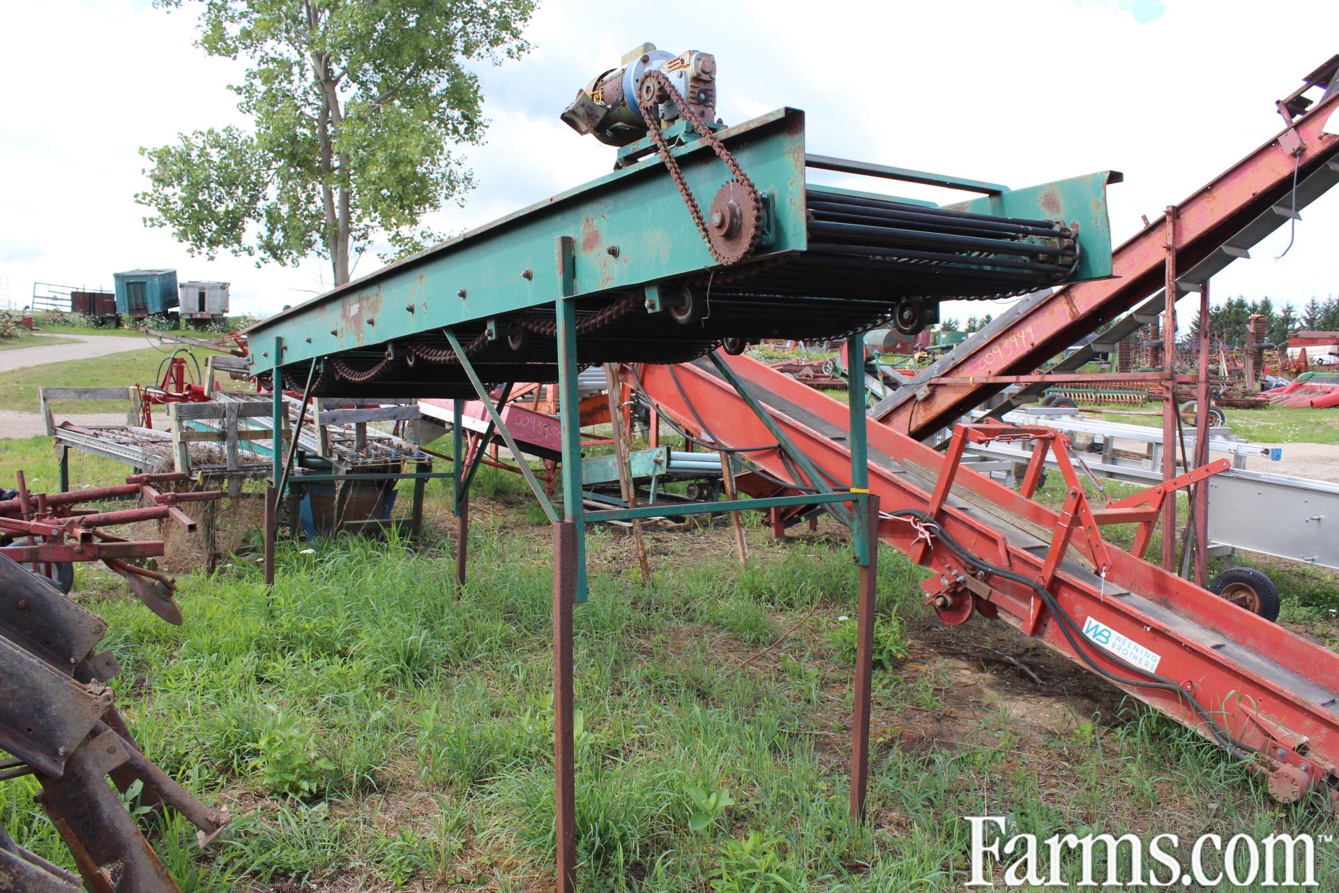 Potato Conveyor for Sale
