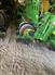 John Deere 2021 1795 Planters