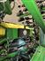 2009 John Deere 1990