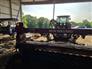 New Holland 2022 310 Mower Conditioners / Windrowers