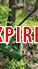 Frontier 12D BALE SPEAR