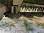 John Deere 2023 C350 Mower Conditioners / Windrowers