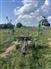 2006 Frontier TD1316