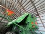 2015 John Deere S680