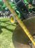 John Deere 2021 2630 Discs