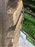 John Deere 2017 36" Tracks Tires, Duals, Rims & Chains
