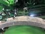 John Deere 2017 36" Tracks Tires, Duals, Rims & Chains