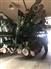 John Deere 2004 1790 Planters