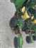 John Deere 2005 1790 Planters