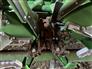 John Deere 2023 C12F Headers - Corn
