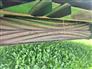 John Deere 2024 S350 Mower Conditioners / Windrowers