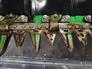 John Deere 2025 HDF 50 Headers - Other
