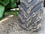John Deere 2025 X9 1000 Combines