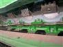 John Deere 2016 S680 Combines