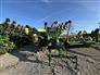 2014 John Deere 1790