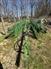 Frontier WR2104 Rakes / Tedders
