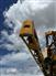 Hagie 2024 STS16 Sprayers - Self Propelled