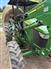 John Deere 2022 5075E Other Tractors