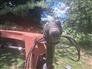 New Holland 1996 1411 Mower Conditioners / Windrowers