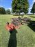 Farm-King 6' Triplex mower Stalk Choppers / Flail Mowers