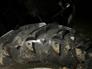 2005 Yamaha GRIZZLY 660