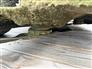 Cub Cadet 2022 XT2 GX54 Fab D Riding Lawn Mowers