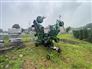 2022 Frontier FM1017R