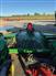 John Deere 2008 CX20 Rotary Mowers / Sickle Mower