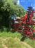 2014 Case IH 330