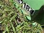 John Deere RB2184 Attachments