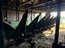 John Deere 2016 608C Headers - Corn