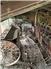 ANITQUE HORSE DRAWN EQUIPMENT, for Sale