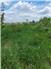 Wanted PRIME VACANT LAND,