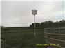 PURPLE MARTIN HOUSES, for Sale