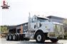 2019 Western Star 4900 Day Cab Tri Drive DD16 600HP 18 Spd Double Frame #5223 for Sale