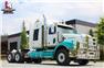 2019 Western Star 4900 Low Bed Tandem Sleeper Tractor #5282 for Sale